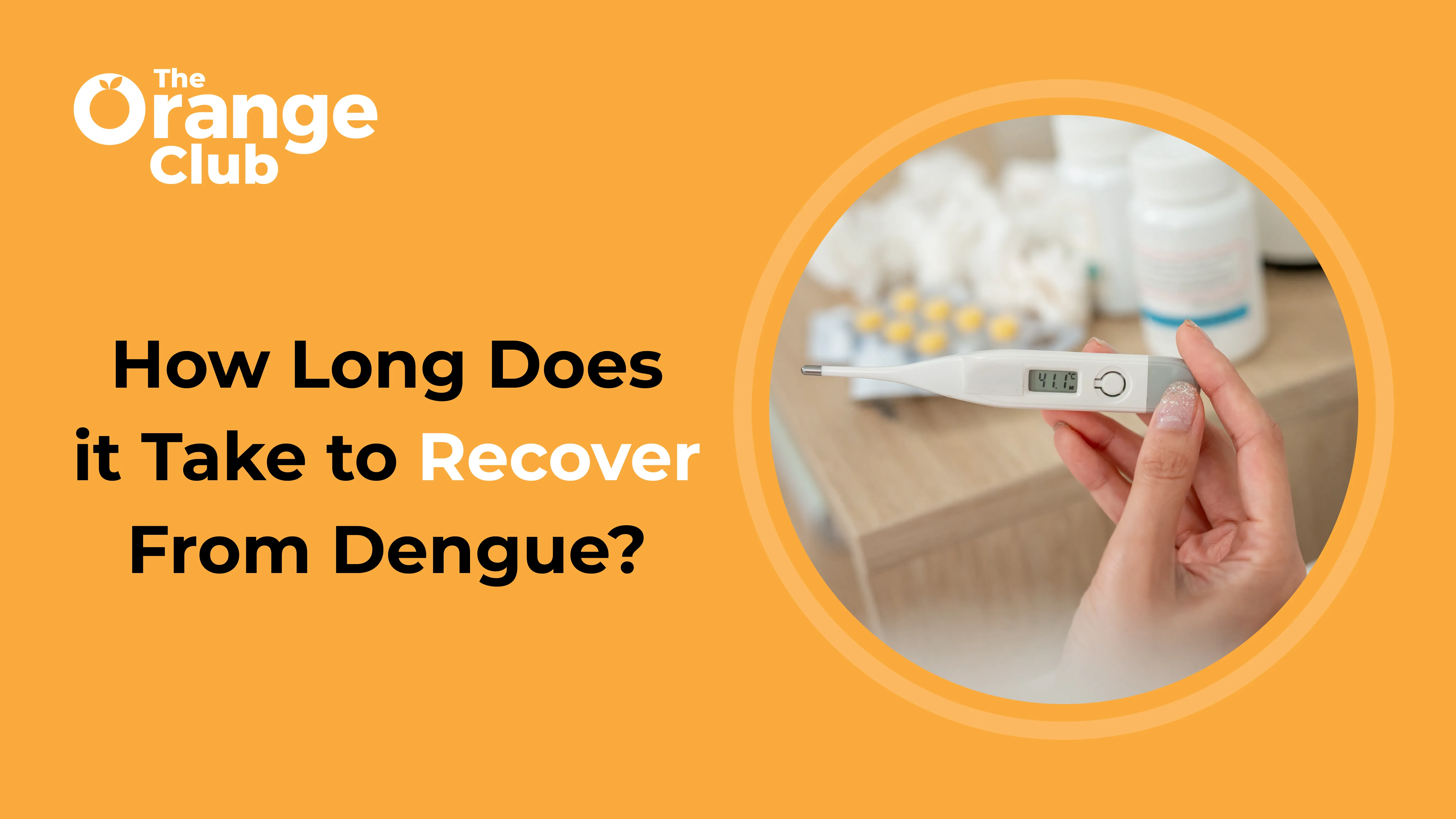 How Long Does It Take to Recover from Dengue?